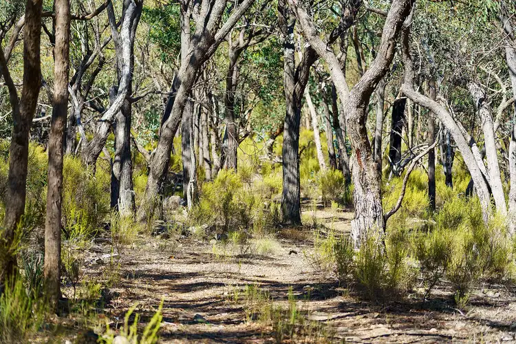 Second view of Homely rural property listing, Lot 4 McNutts Lane, Heathcote VIC 3523