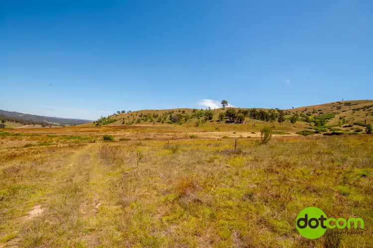 Fifth view of Homely rural property listing, 441 Cooksvale Road, Peelwood NSW 2583