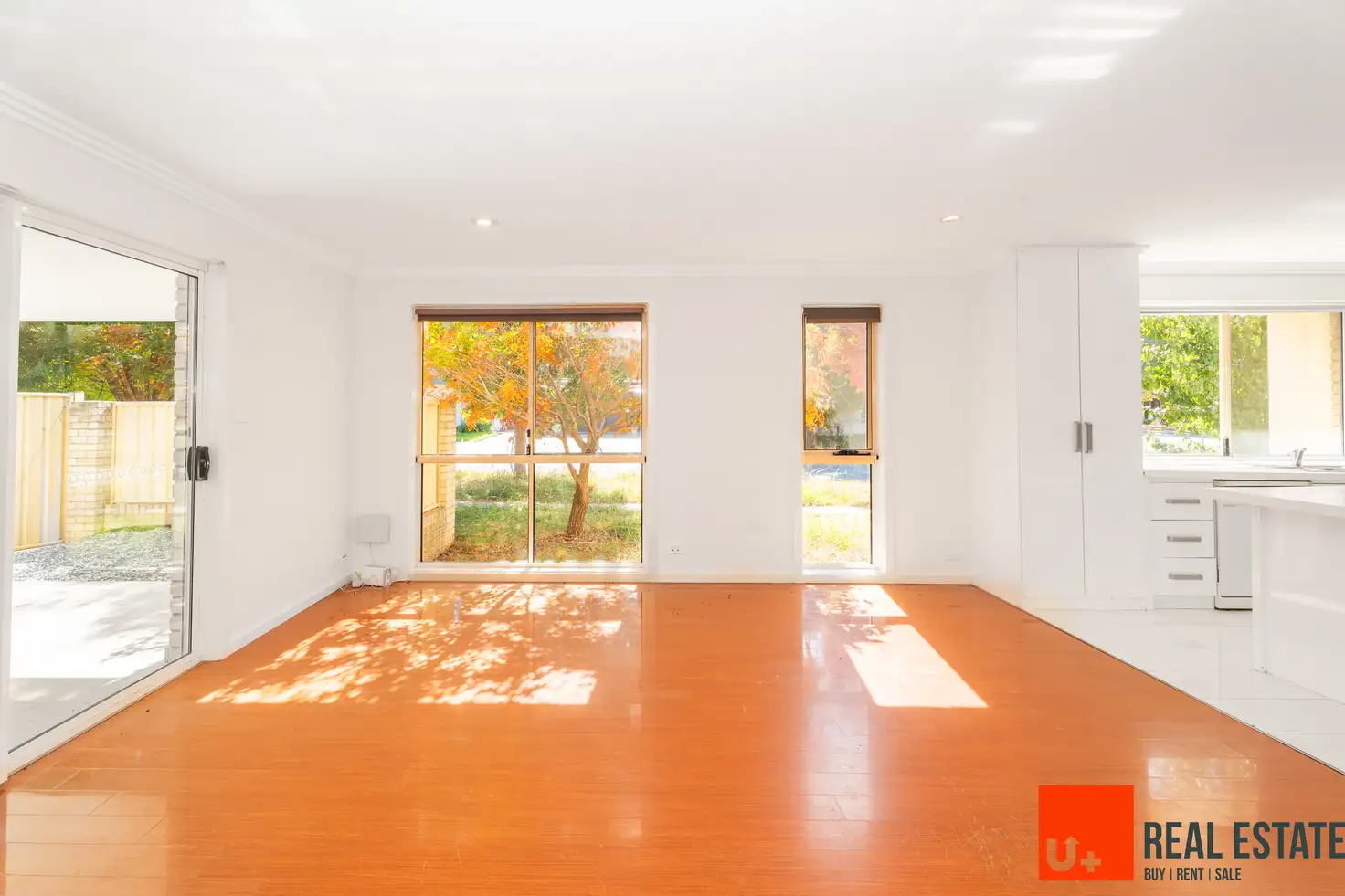 Main view of Homely house listing, 1/16 Charlotte Barton Street, Franklin ACT 2913