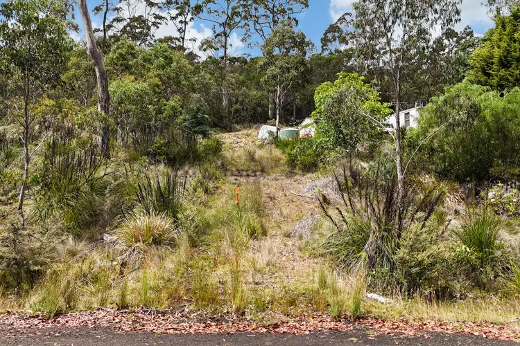 Second view of Homely land listing, 16 Brewis Place, Lake Leake TAS 7210