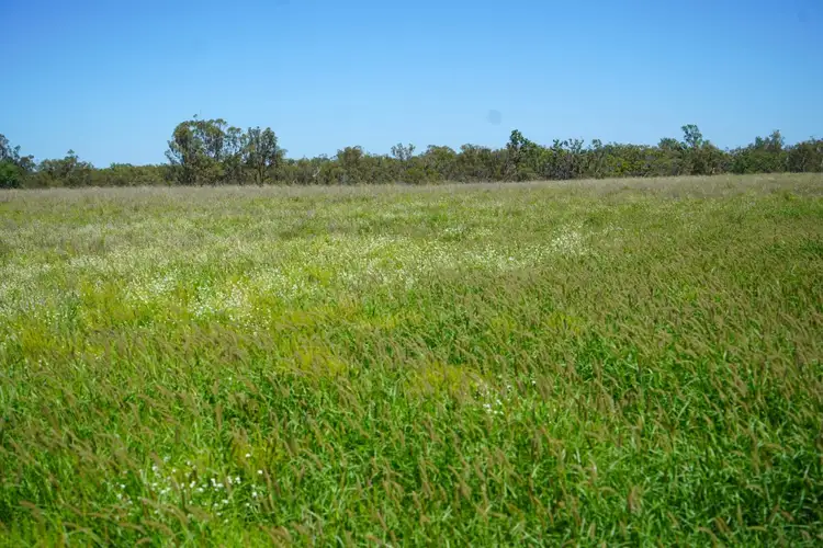Second view of Homely rural property listing, Address available on request