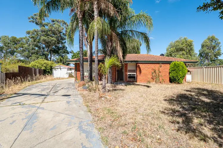 Main view of Homely house listing, 14 Balanda Place, Armadale WA 6112