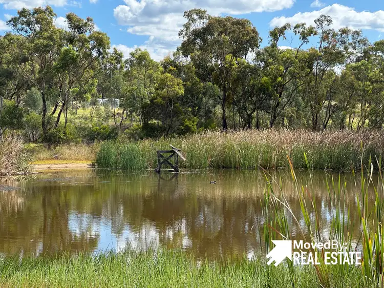 Second view of Homely rural property listing, 232 TOWNSEND ROAD, Glen Aplin QLD 4381