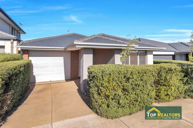 64 Wreath Drive, Tarneit VIC 3029