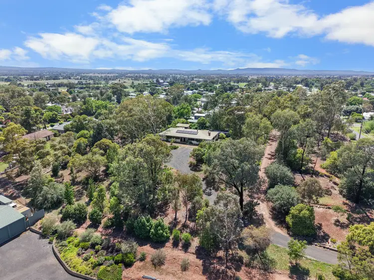Main view of Homely house listing, 16 Lynne Street, Gulgong NSW 2852