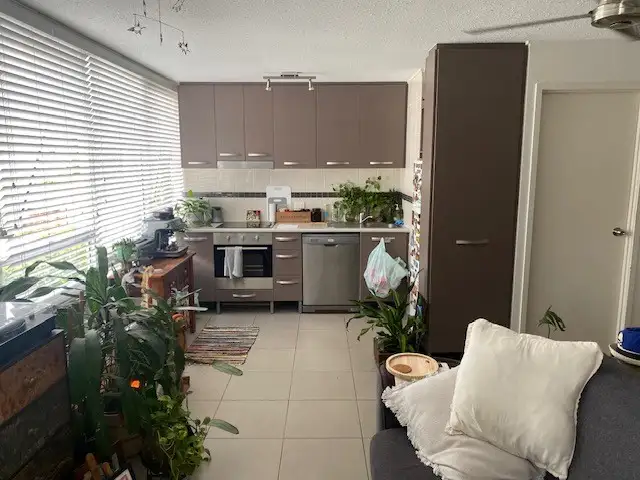 Main view of Homely unit listing, 43/24 Wirraway Street, Alexandra Headland QLD 4572