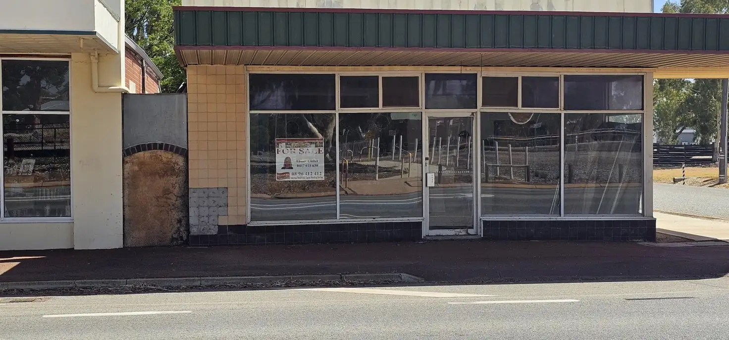 Main view of Homely studio listing, 21 Donnan St, Tammin WA 6409
