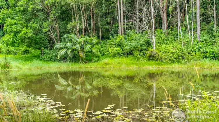 280 Burringbar Road, Burringbar NSW 2483