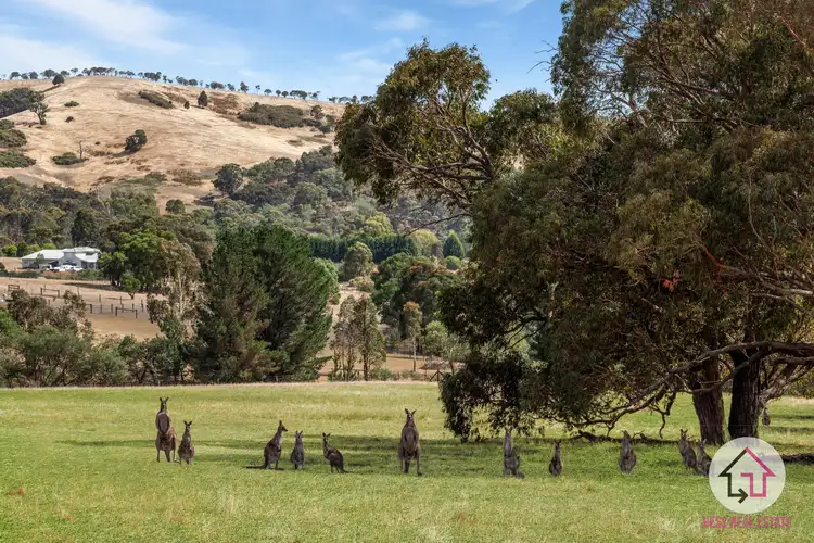 Third view of Homely land listing, 6 Darling Court, Wandong VIC 3758