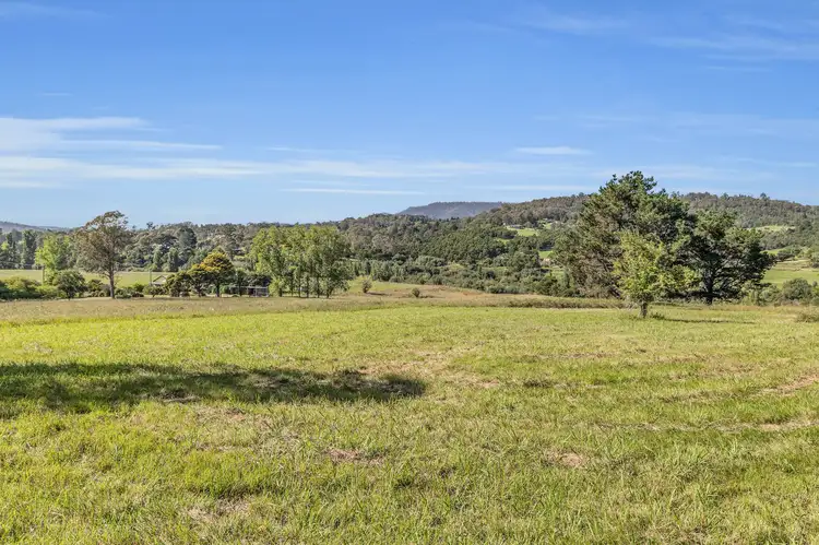 Second view of Homely rural property listing, 2577 Towamba Road, Towamba NSW 2550