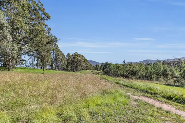 Fourth view of Homely rural property listing, 2577 Towamba Road, Towamba NSW 2550