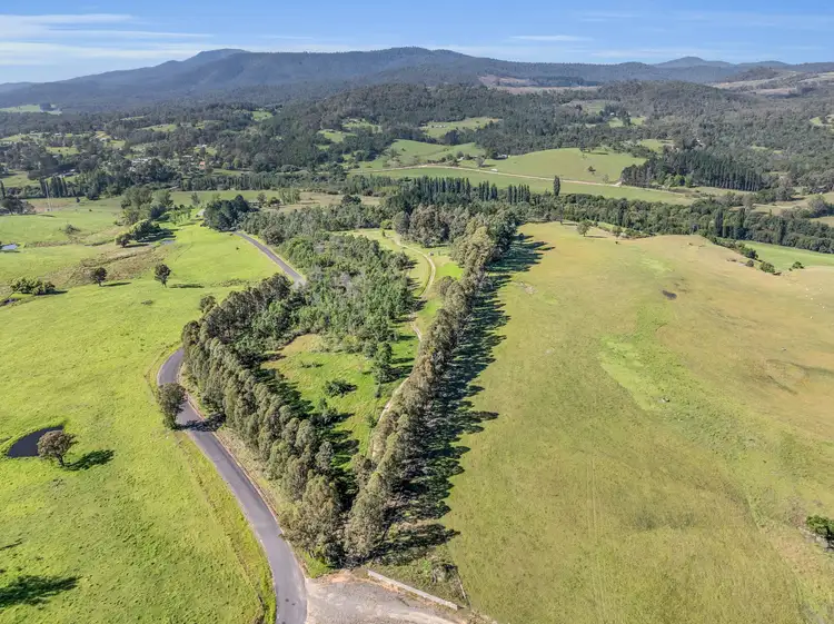 Fifth view of Homely rural property listing, 2577 Towamba Road, Towamba NSW 2550