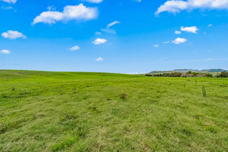 Third view of Homely rural property listing, 321 Mitchells Flat Road, Singleton NSW 2330