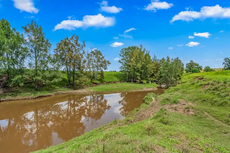 Fourth view of Homely rural property listing, 321 Mitchells Flat Road, Singleton NSW 2330