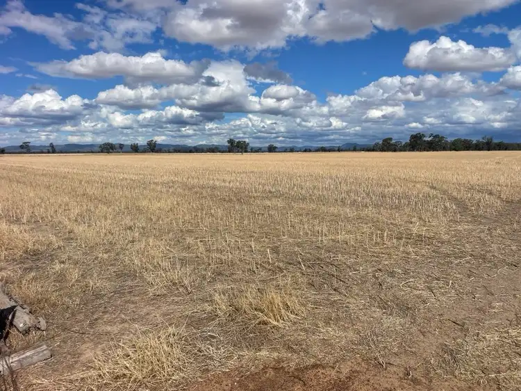 Second view of Homely rural property listing, 000 Tullys Lane, Mockinya VIC 3401