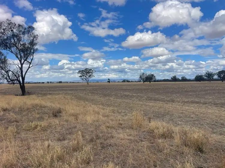 Fourth view of Homely rural property listing, 000 Tullys Lane, Mockinya VIC 3401