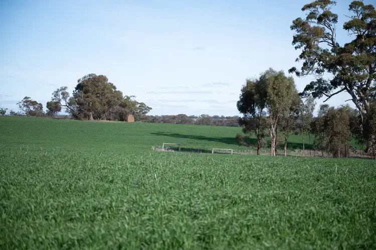 Fifth view of Homely rural property listing, 000 Lower Norton-Nurrabiel Road, Lower Norton VIC 3401