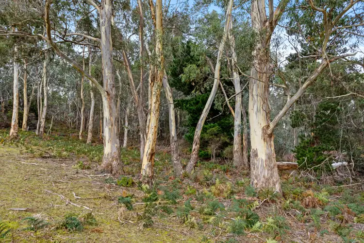 Seventh view of Homely land listing, 56 Wilsons Road, Kettering TAS 7155