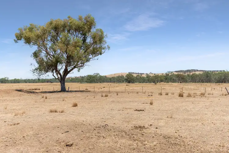 Fourth view of Homely rural property listing, 546 Heathcote-Rochester Road, Heathcote VIC 3523