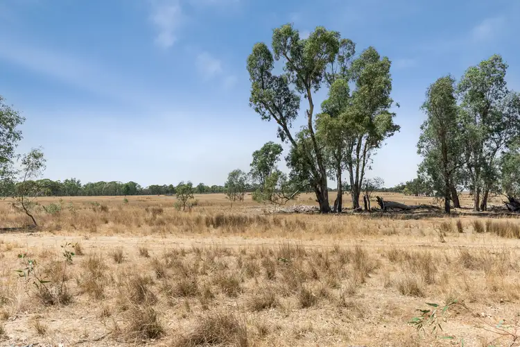 Fifth view of Homely rural property listing, 546 Heathcote-Rochester Road, Heathcote VIC 3523
