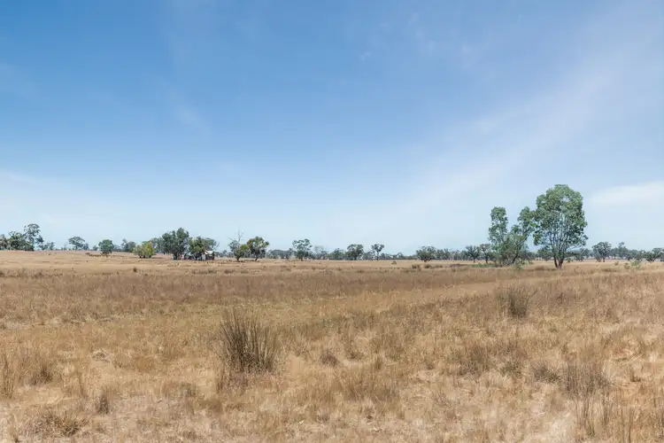 Seventh view of Homely rural property listing, 546 Heathcote-Rochester Road, Heathcote VIC 3523