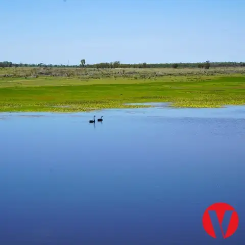 Second view of Homely rural property listing, 1081 Tareela Access Road, Mungallala QLD 4467