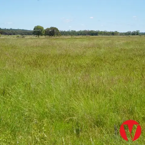 Seventh view of Homely rural property listing, 1081 Tareela Access Road, Mungallala QLD 4467