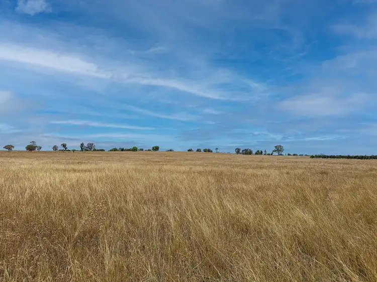 Fourth view of Homely rural property listing, 2643 Back Trundle Road, Cooks Myalls NSW 2870