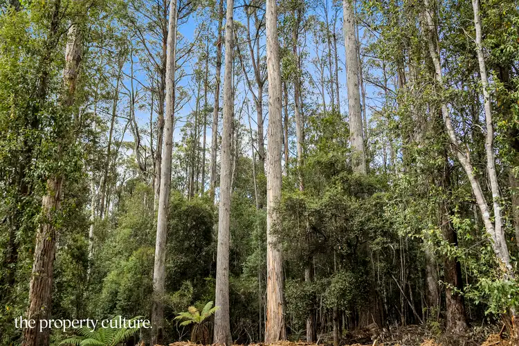 Seventh view of Homely land listing, 159 Lloyds Road, Franklin TAS 7113