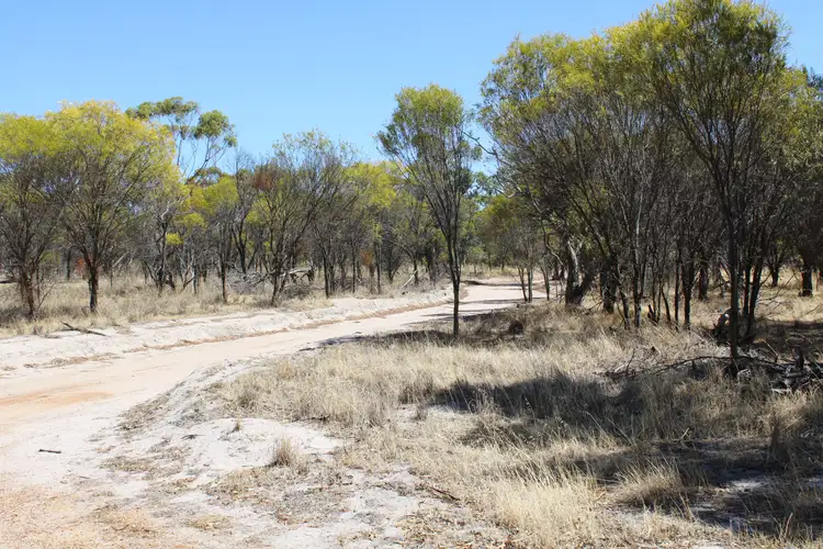 Fourth view of Homely rural property listing, 517 Lloyd, Wagin WA 6315