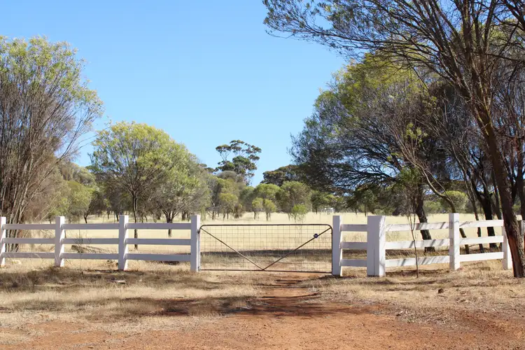 Lot 135 & 136 Nippering North Road, Dumbleyung WA 6350