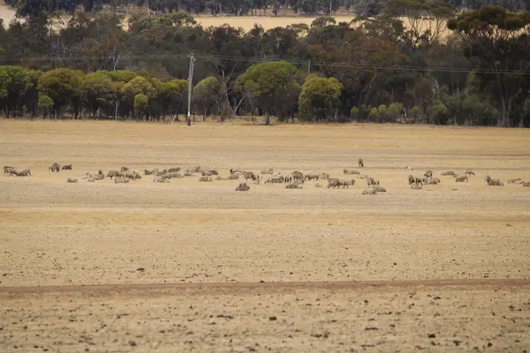Main view of Homely rural property listing, 191 Great Southern Highway, Woodanilling WA 6316
