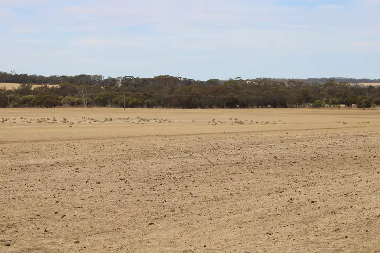 Fourth view of Homely rural property listing, 191 Great Southern Highway, Woodanilling WA 6316