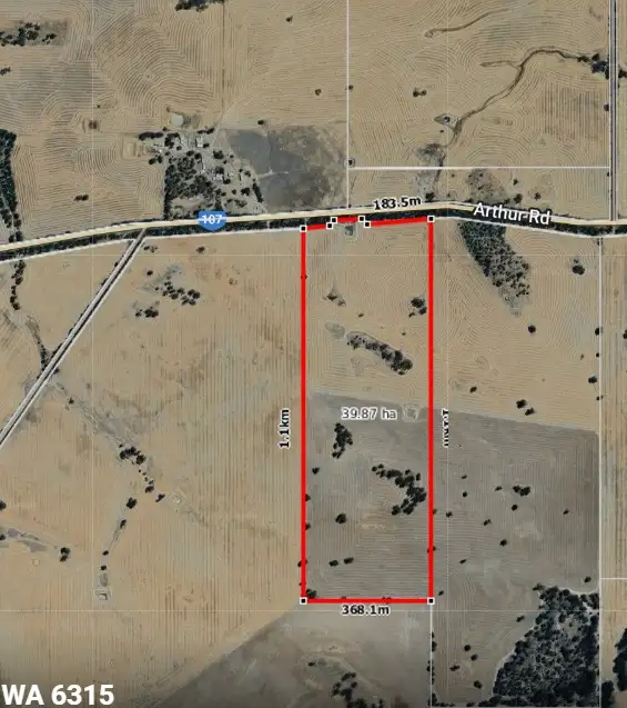 Main view of Homely rural property listing, 205 Arthur River/Wagin Road, Wagin WA 6315