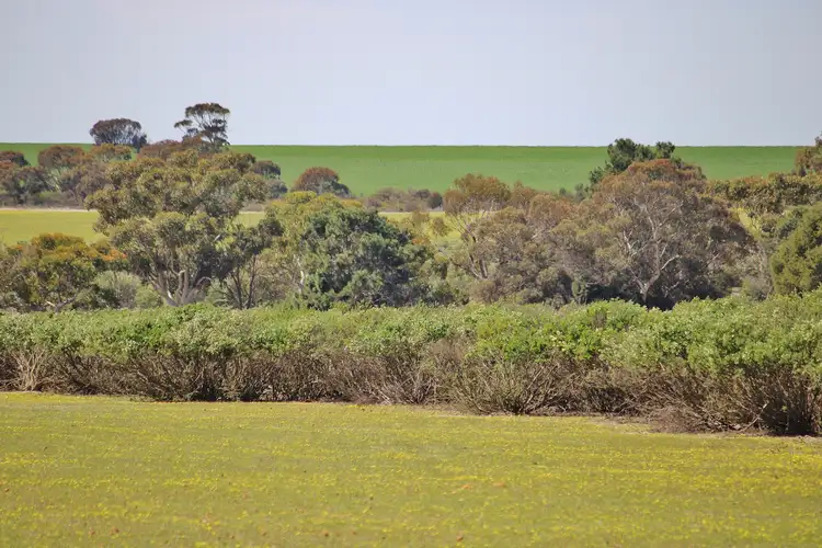 Lot 14 Kulin/Dudinin Road, Dudinin WA 6363