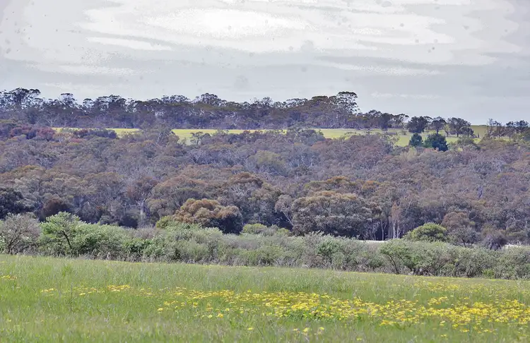 Third view of Homely rural property listing, Lot 14 Kulin/Dudinin Road, Dudinin WA 6363