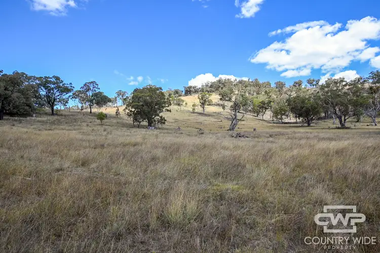 Third view of Homely rural property listing, LOT 82, 4108 Tent Hill Road, Emmaville NSW 2371