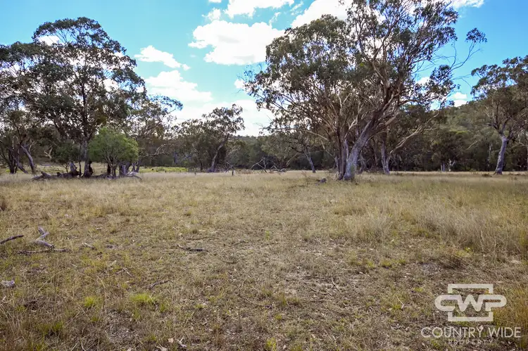 Fifth view of Homely rural property listing, LOT 82, 4108 Tent Hill Road, Emmaville NSW 2371