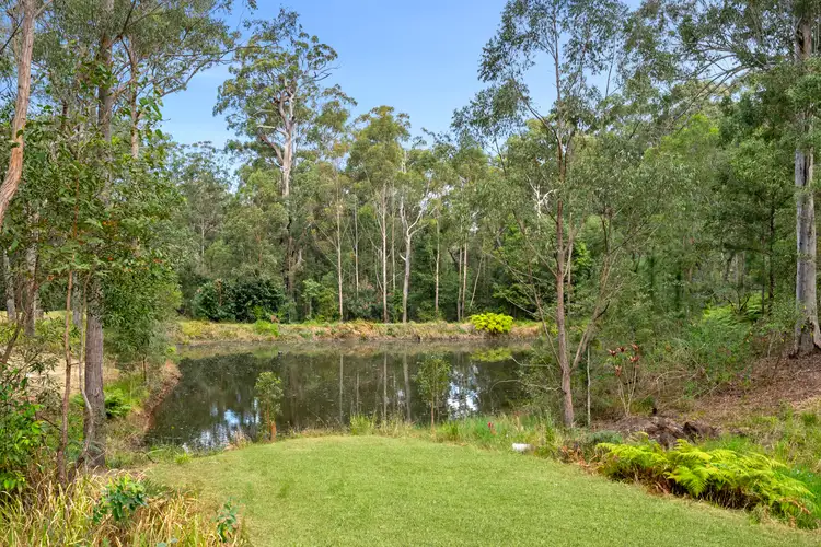 Fifth view of Homely rural property listing, 319 Mount Beerwah Road, Glass House Mountains QLD 4518