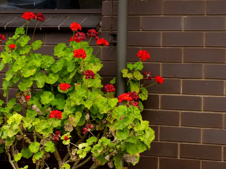 Sixth view of Homely house listing, 2 Tieman Street, Port Fairy VIC 3284
