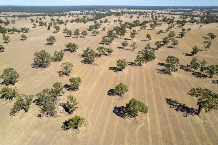 441 Harrow-Clear Lake Road, Harrow VIC 3317