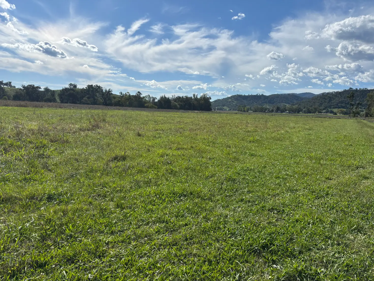 Main view of Homely rural property listing, 1252 Nundle Road, Dungowan NSW 2340