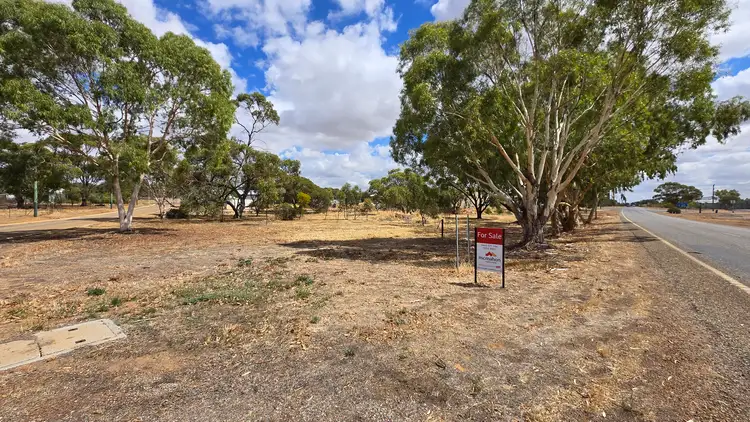 Main view of Homely rural property listing, 4 Quadrant Street, Pingelly WA 6308