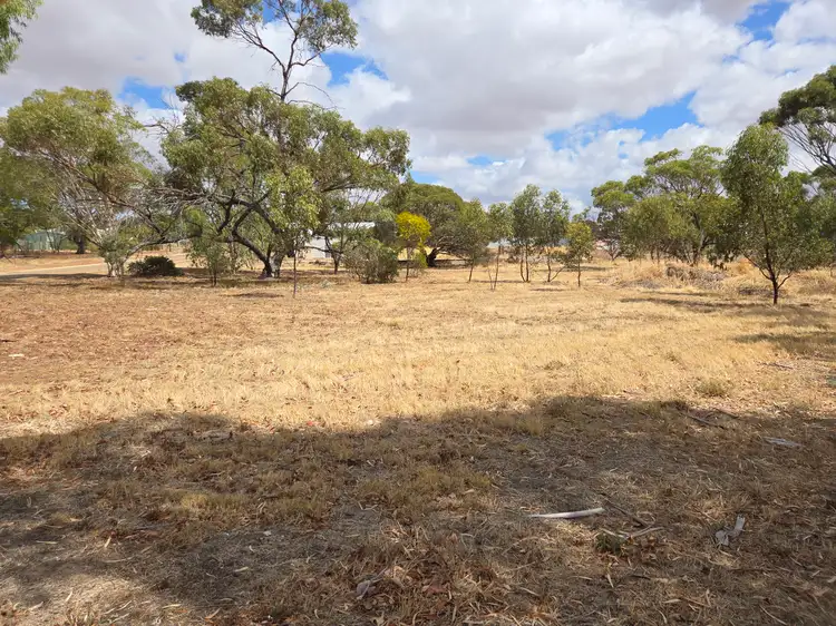 Third view of Homely rural property listing, 4 Quadrant Street, Pingelly WA 6308