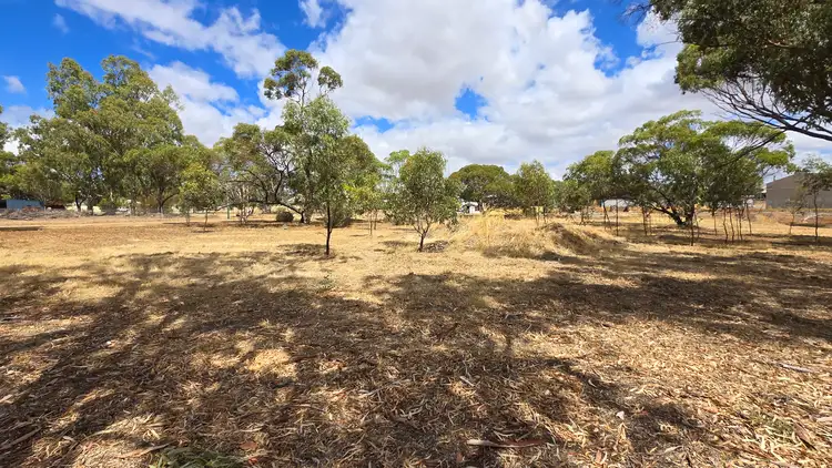 Fourth view of Homely rural property listing, 4 Quadrant Street, Pingelly WA 6308