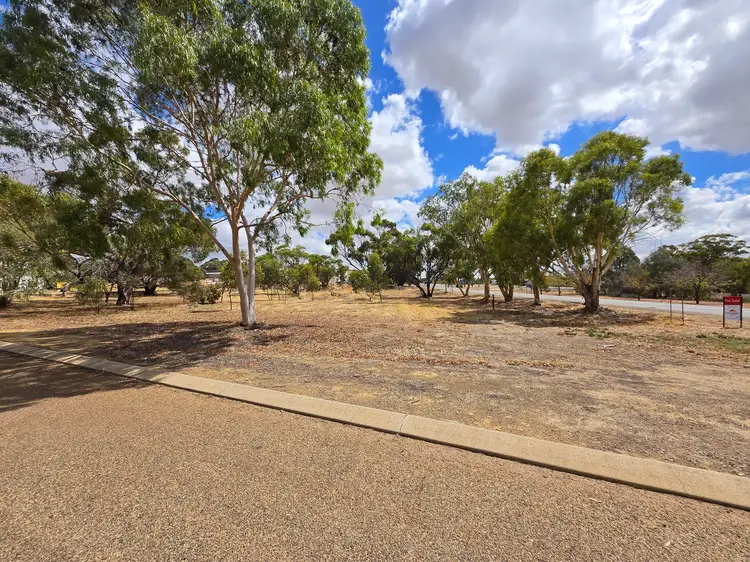 Fifth view of Homely rural property listing, 4 Quadrant Street, Pingelly WA 6308
