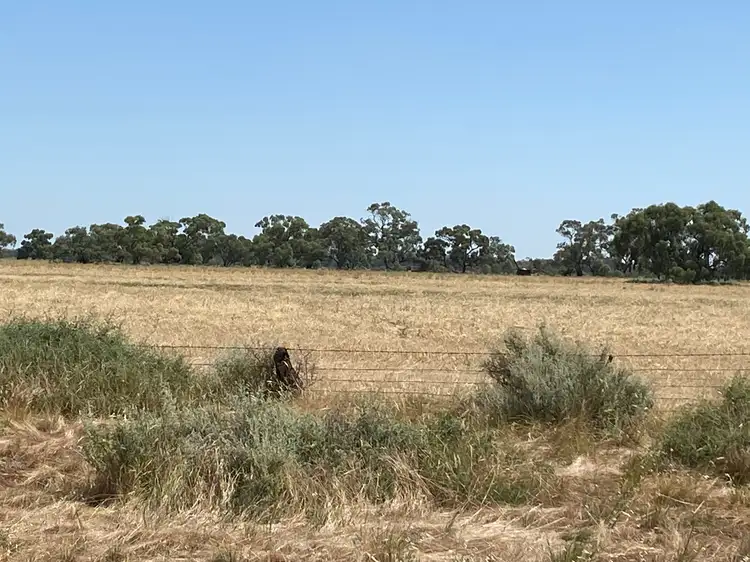 Main view of Homely land listing, 20 King Road, Capels Crossing VIC 3579