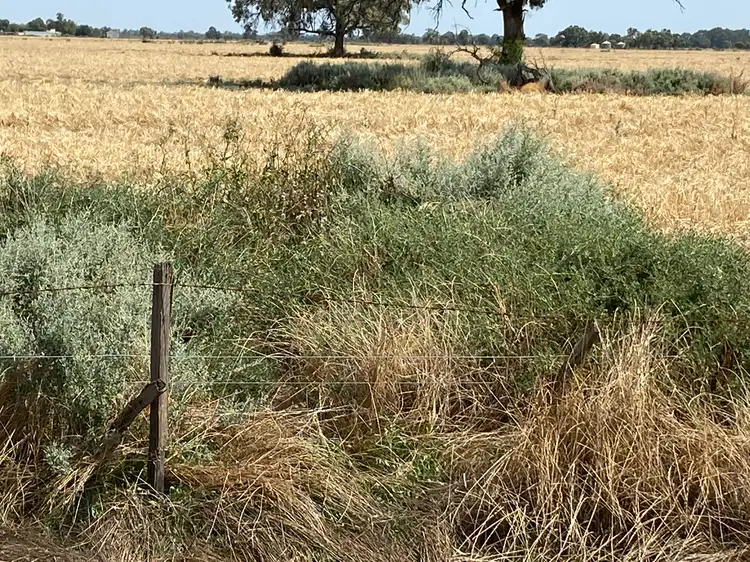 Third view of Homely land listing, 20 King Road, Capels Crossing VIC 3579