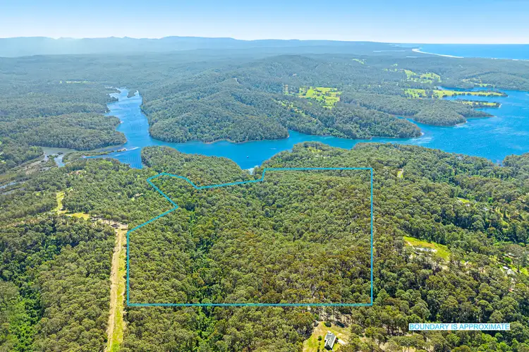 Main view of Homely rural property listing, 100 Hobbs Point Road, Narooma NSW 2546