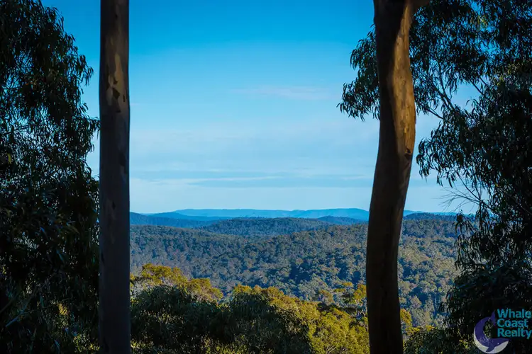 Third view of Homely rural property listing, 100 Hobbs Point Road, Narooma NSW 2546